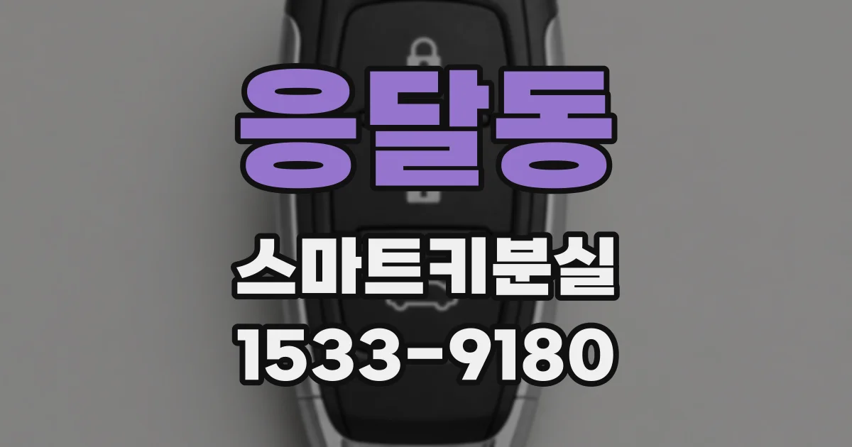 응달동 스마트키분실