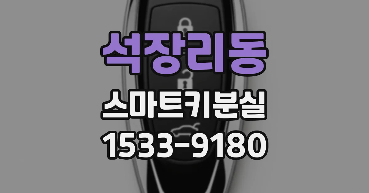석장리동 스마트키분실