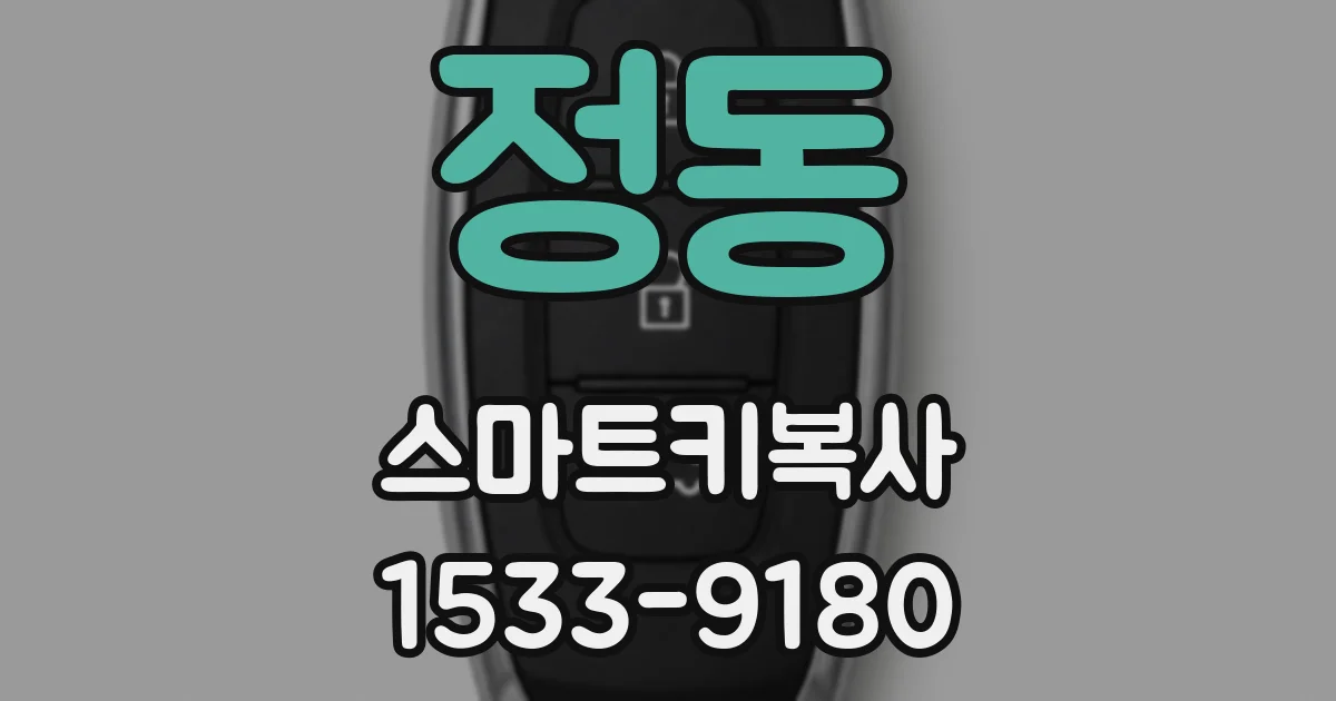 정동 스마트키복사