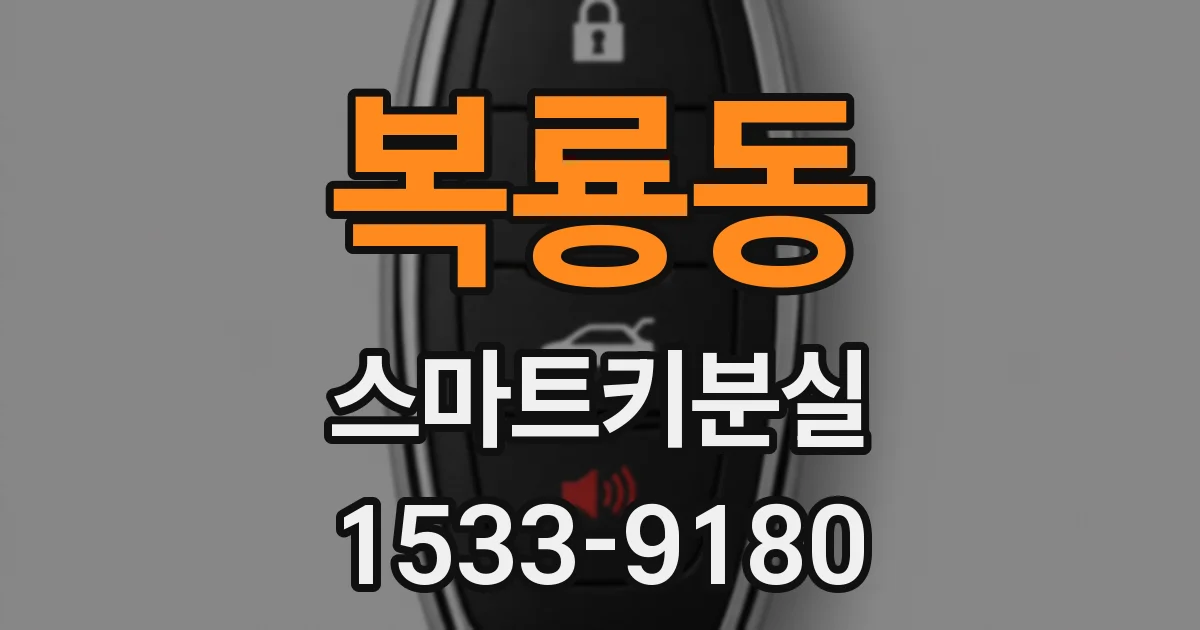 복룡동 스마트키분실