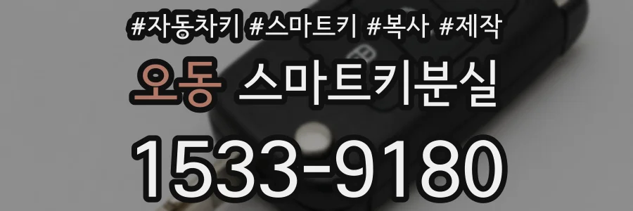 오동 스마트키분실