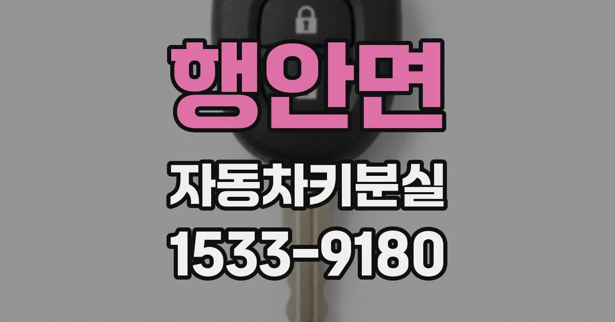 행안면 자동차키분실