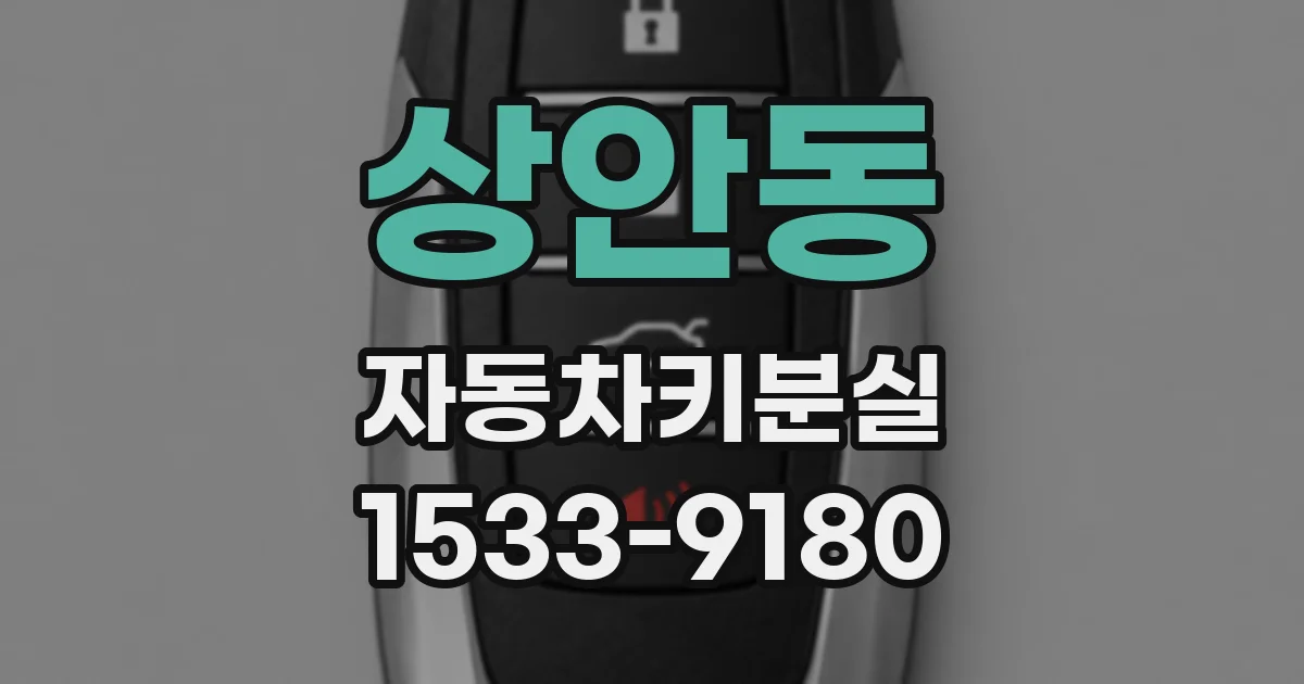 상안동 자동차키분실