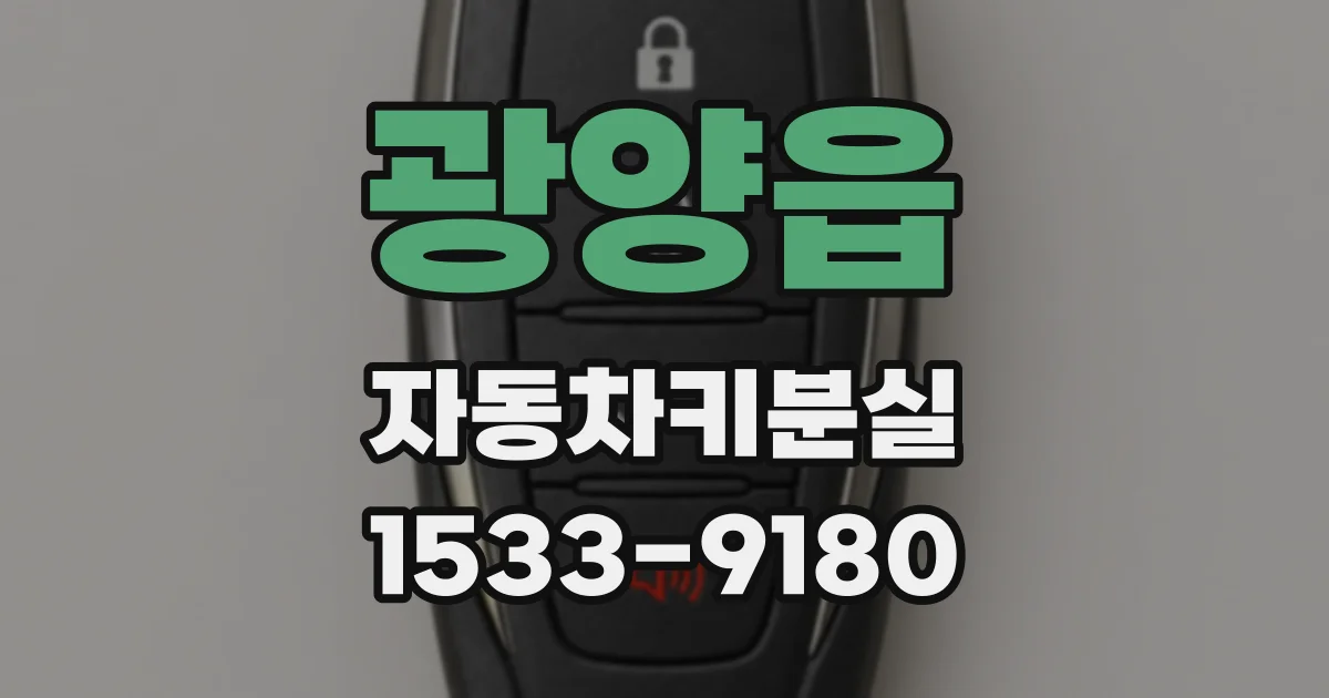 광양읍 자동차키분실