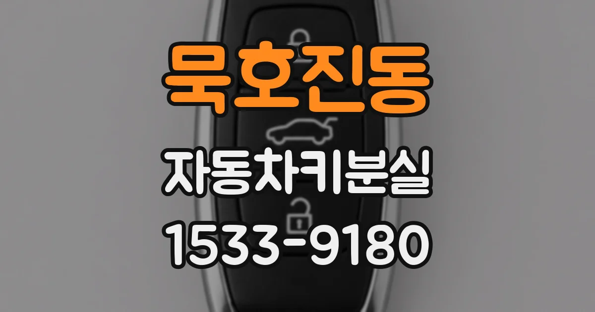 묵호진동 자동차키분실