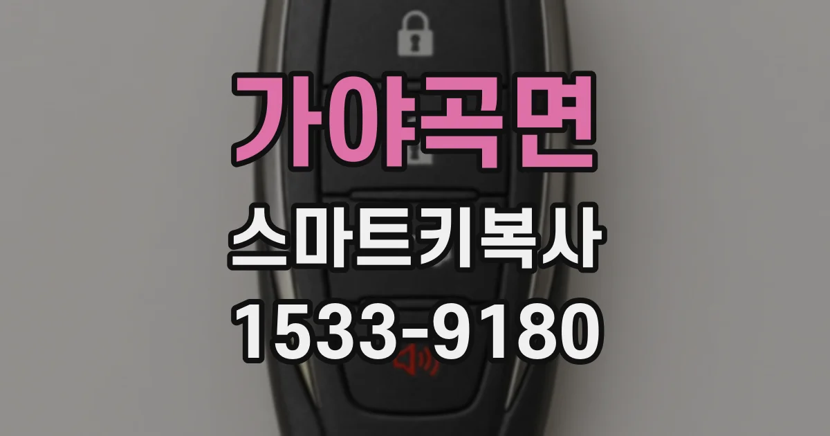 가야곡면 스마트키복사