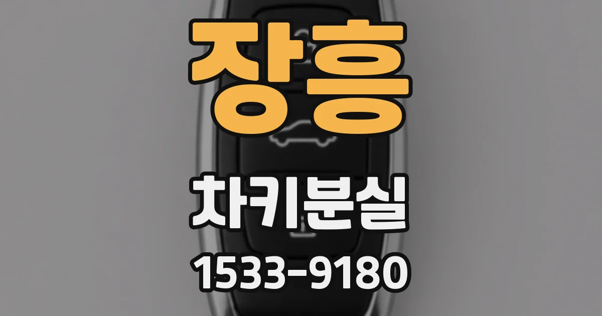 장흥 차키분실