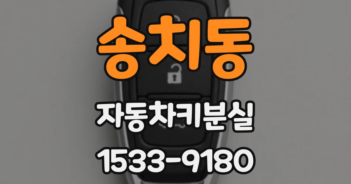 송치동 자동차키분실