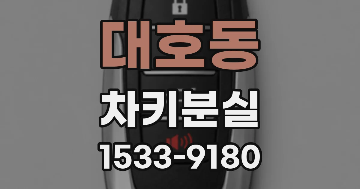 대호동 차키분실