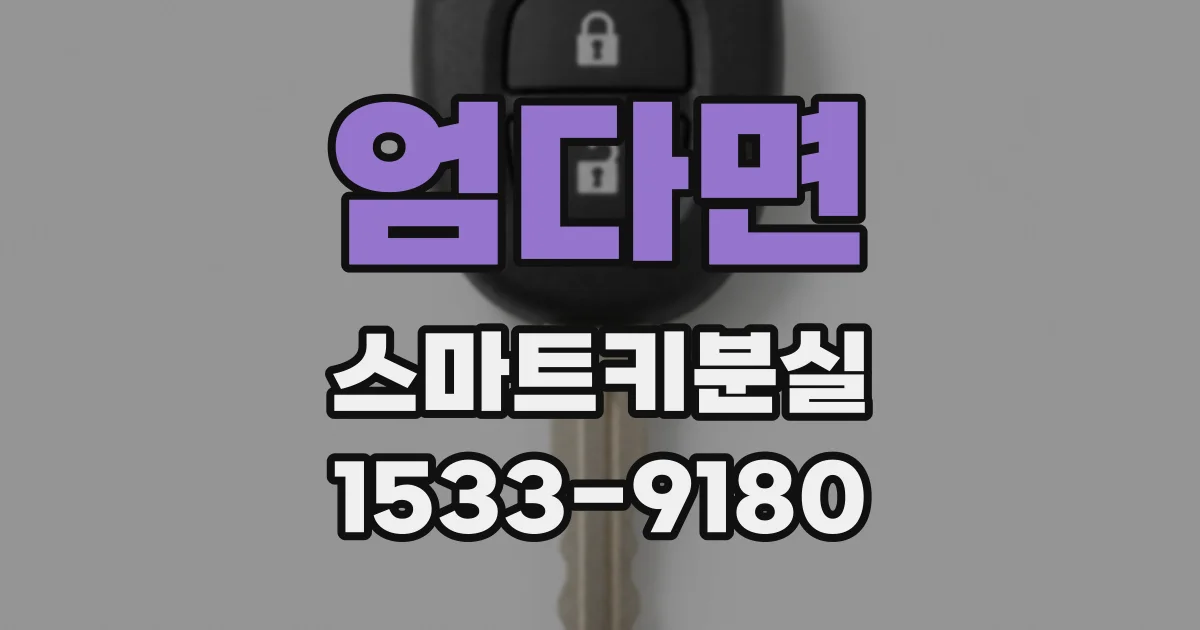 엄다면 스마트키분실