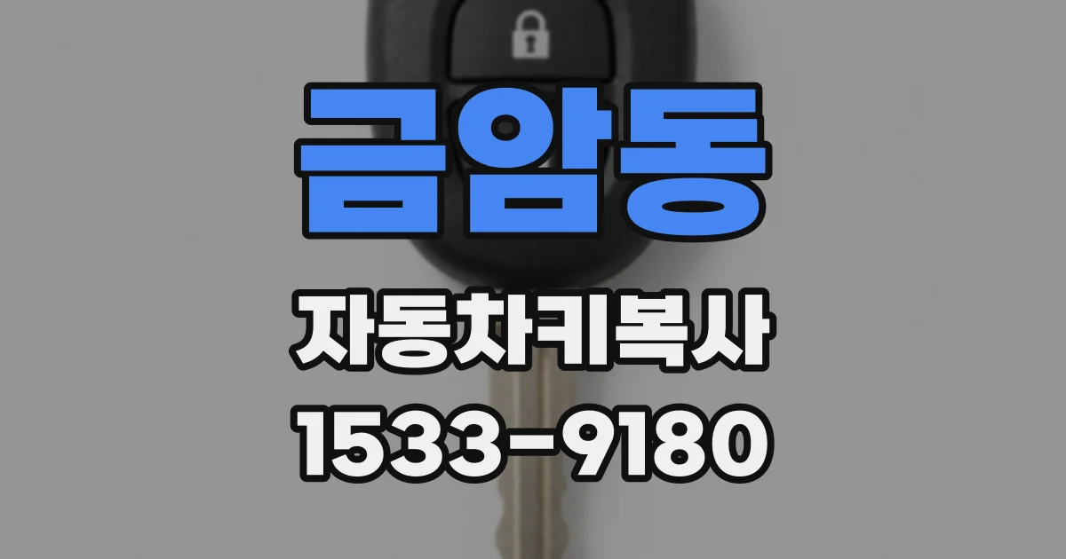 금암동 자동차키복사