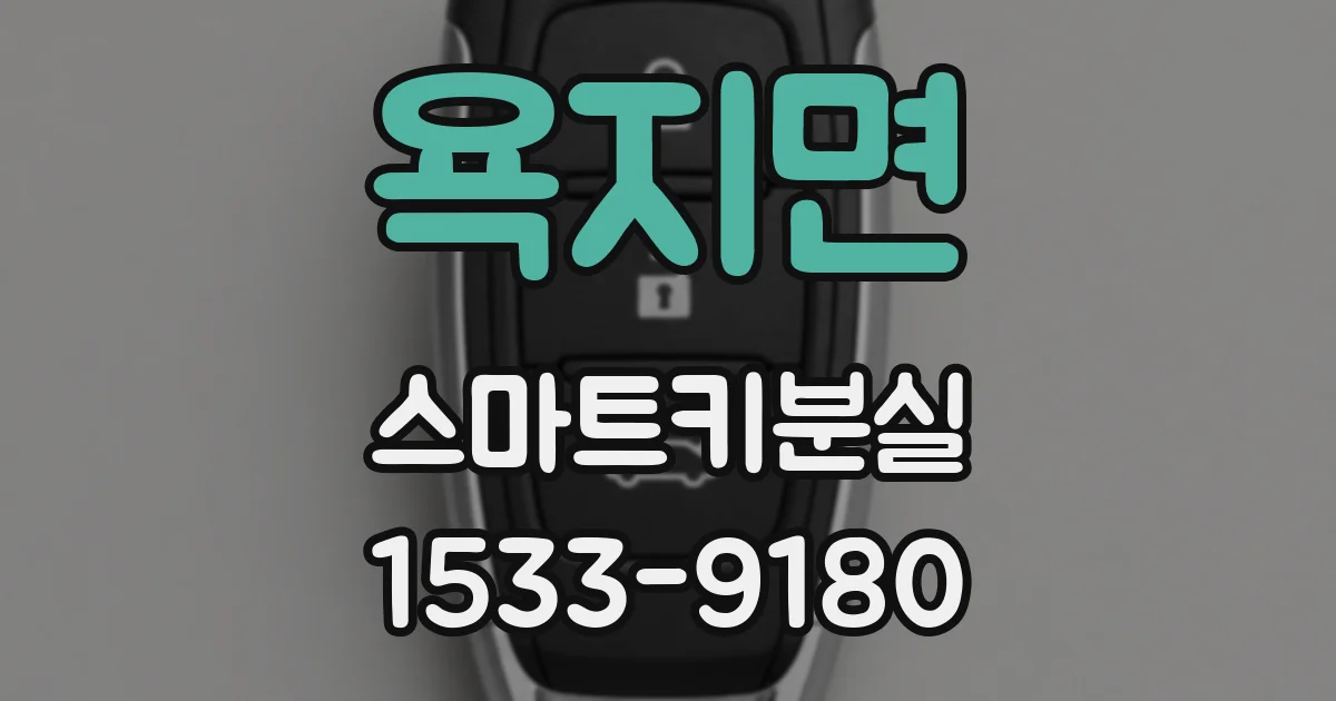 욕지면 스마트키분실