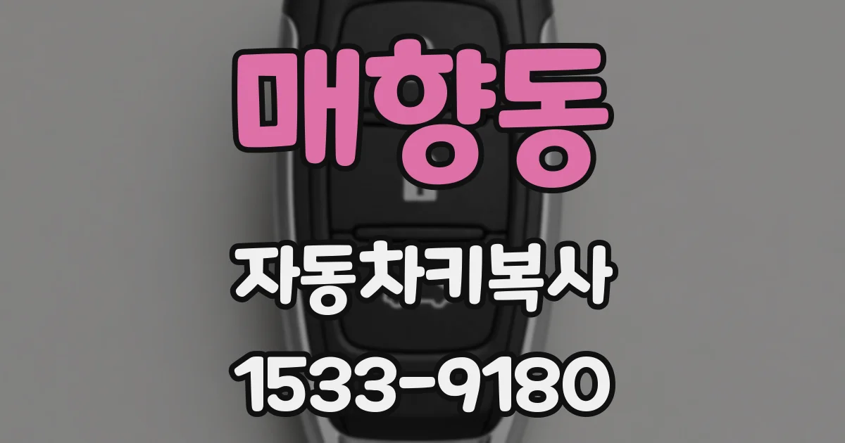 매향동 자동차키복사