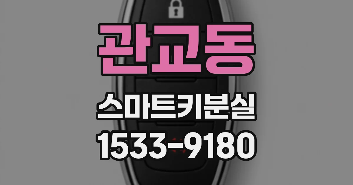 관교동 스마트키분실