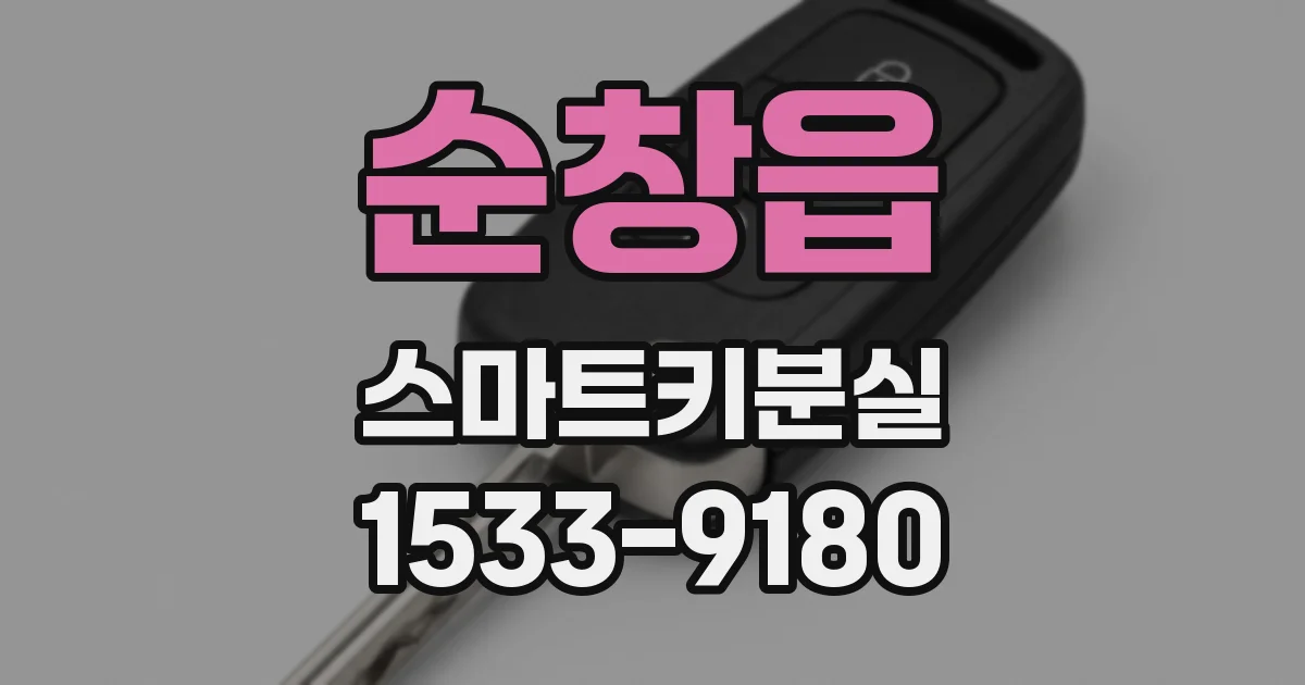 순창읍 스마트키분실
