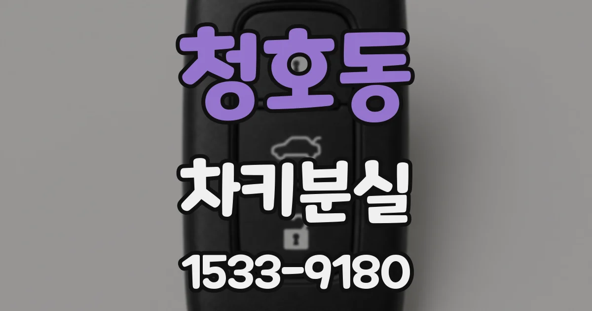청호동 차키분실