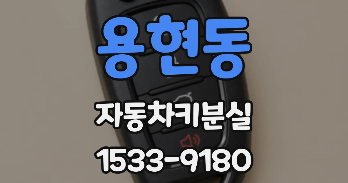 용현동 자동차키분실