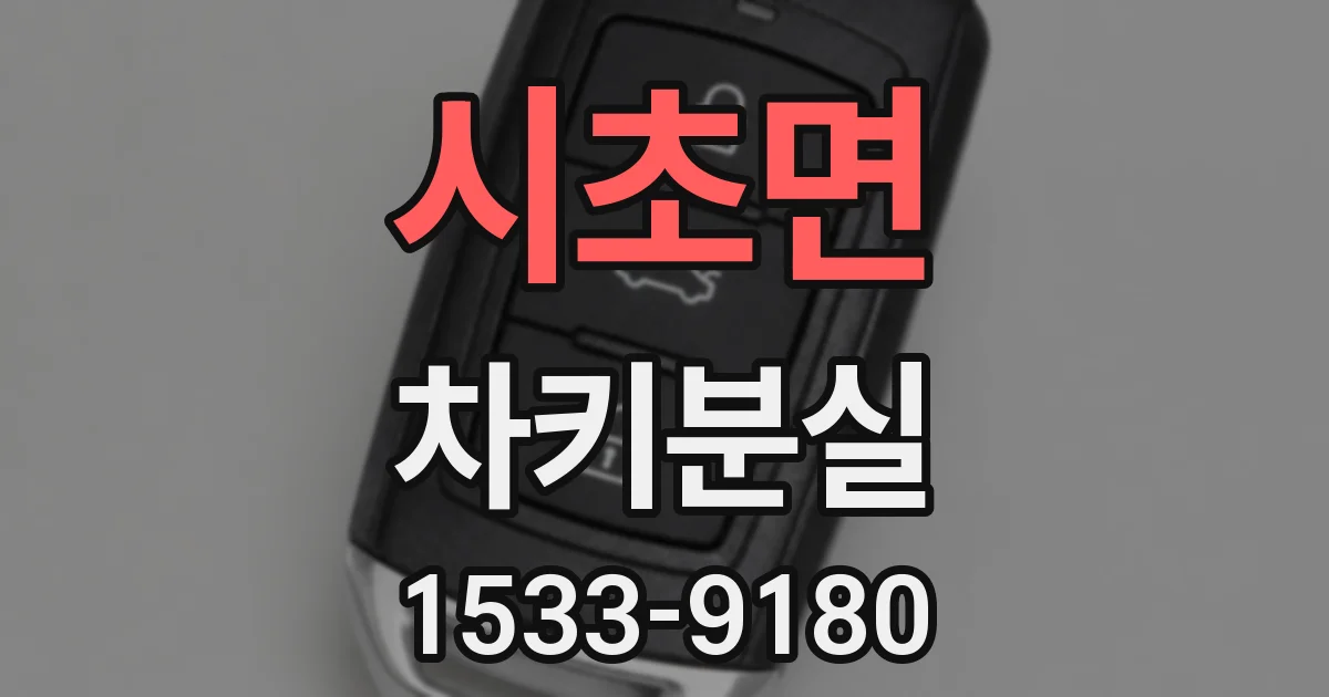 시초면 차키분실