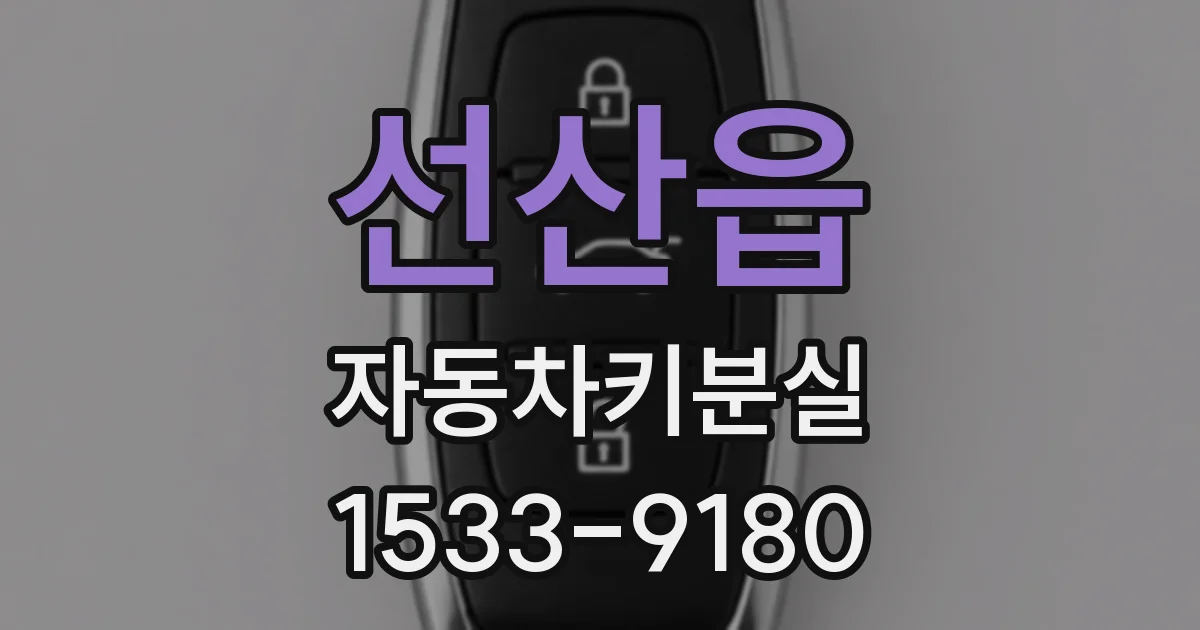 선산읍 자동차키분실