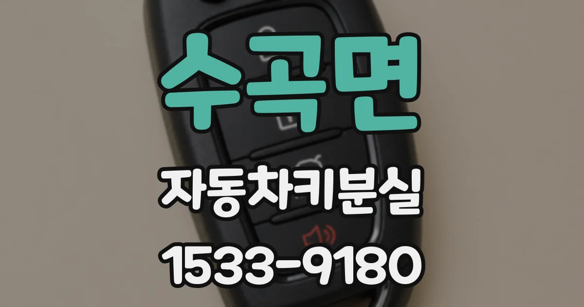 수곡면 자동차키분실