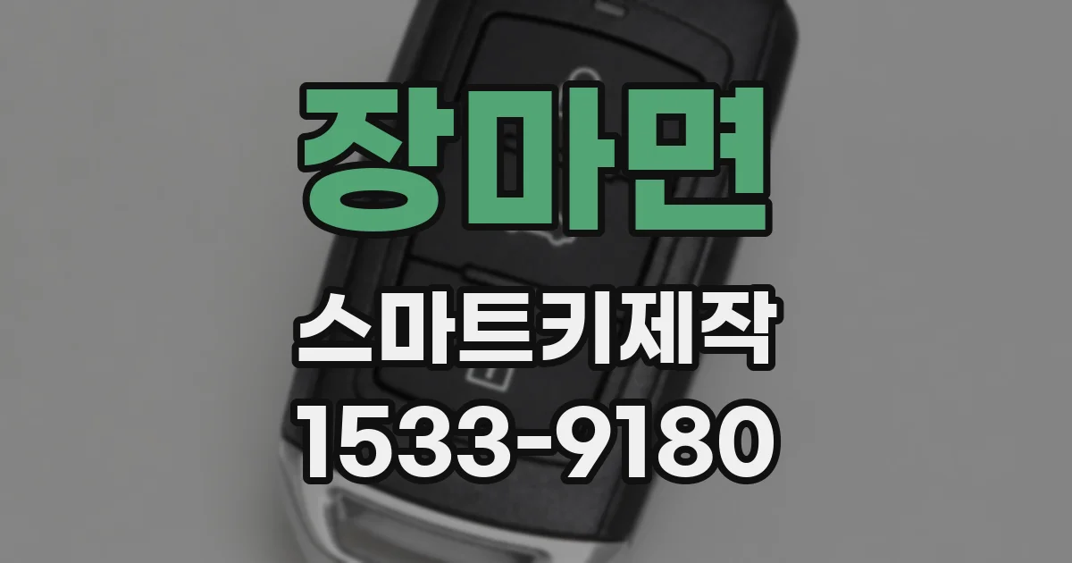 장마면 스마트키제작