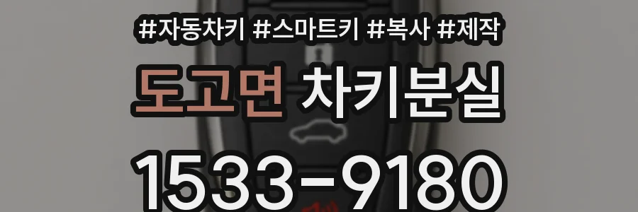 도고면 차키분실