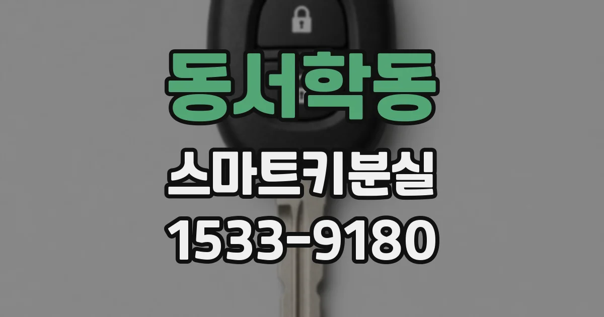 동서학동 스마트키분실