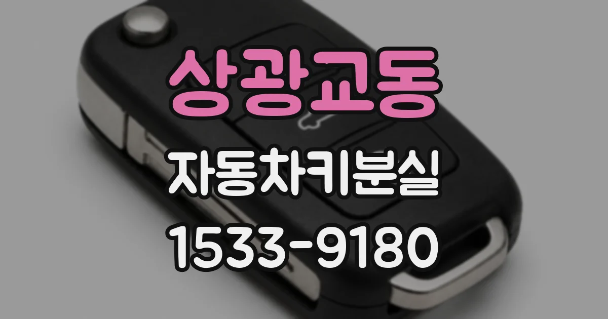 상광교동 자동차키분실