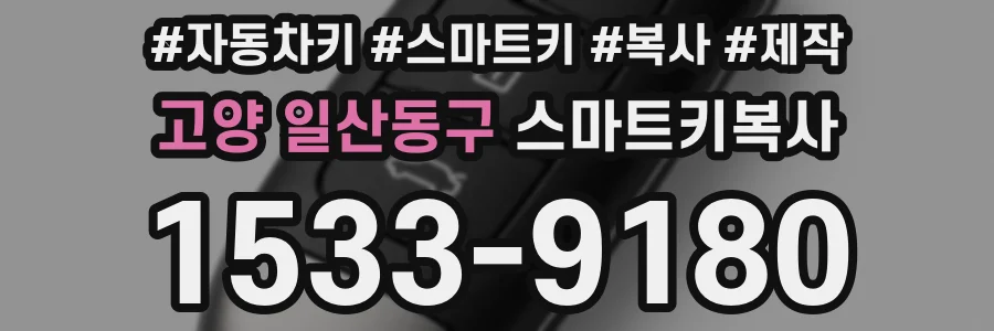 고양 일산동구 스마트키복사