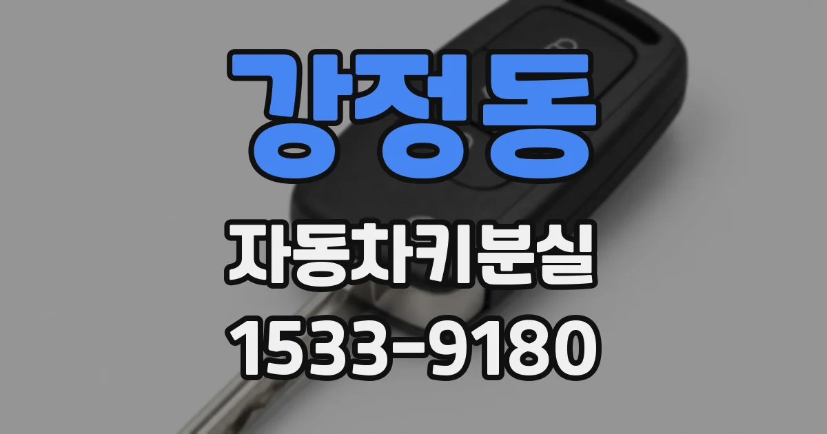 강정동 자동차키분실