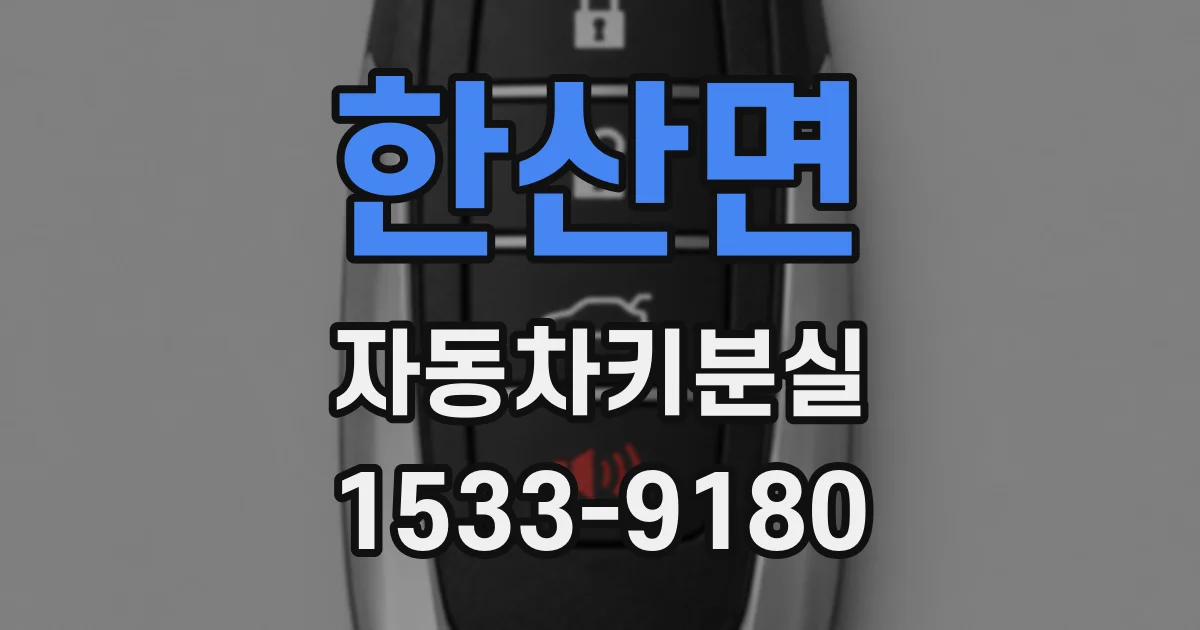 한산면 자동차키분실