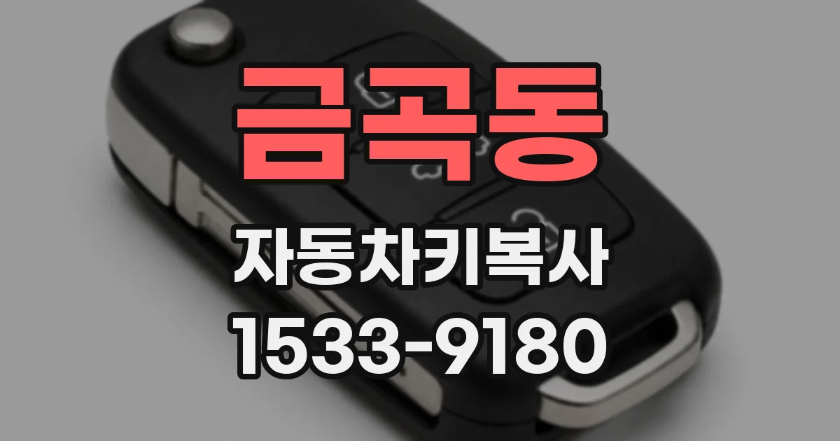 금곡동 자동차키복사