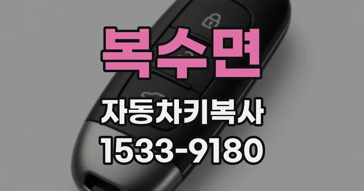 복수면 자동차키복사
