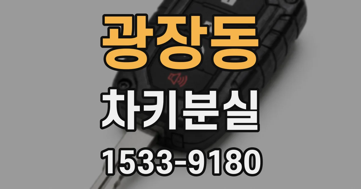 광장동 차키분실