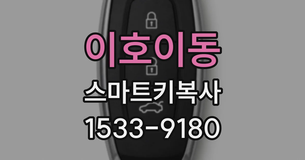 이호이동 스마트키복사