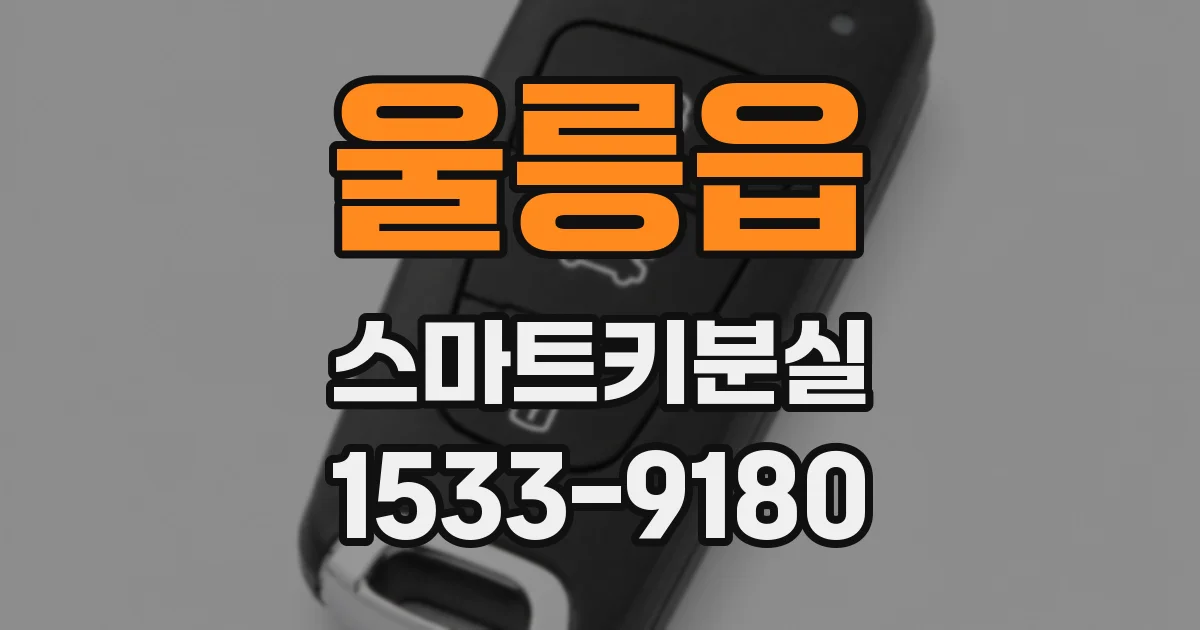 울릉읍 스마트키분실