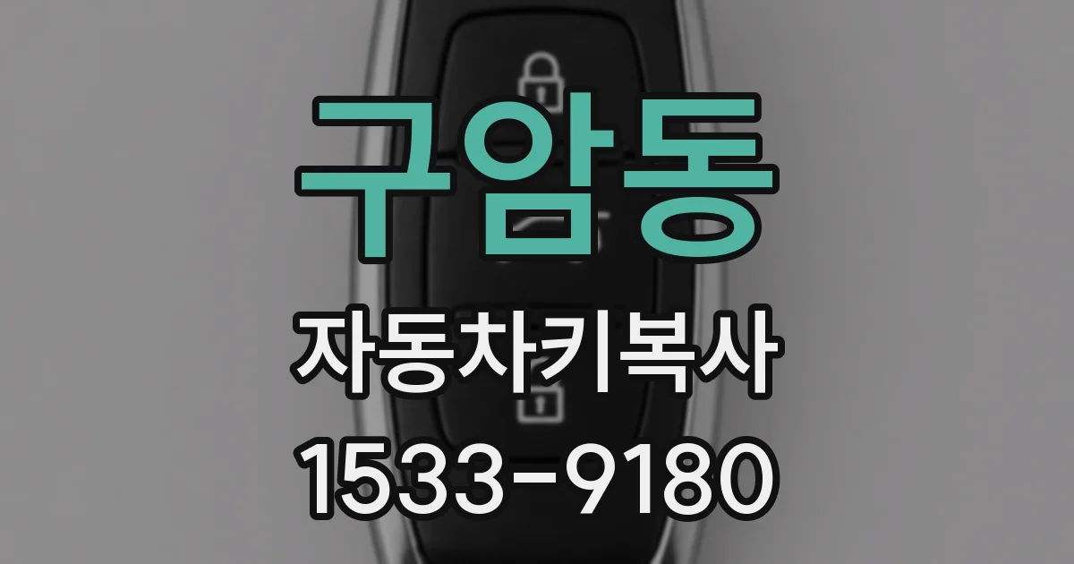 구암동 자동차키복사