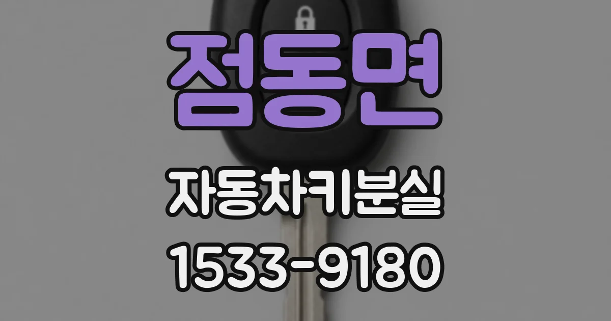 점동면 자동차키분실