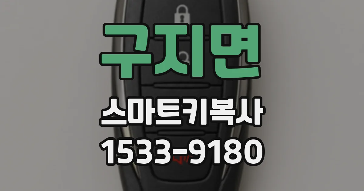 구지면 스마트키복사