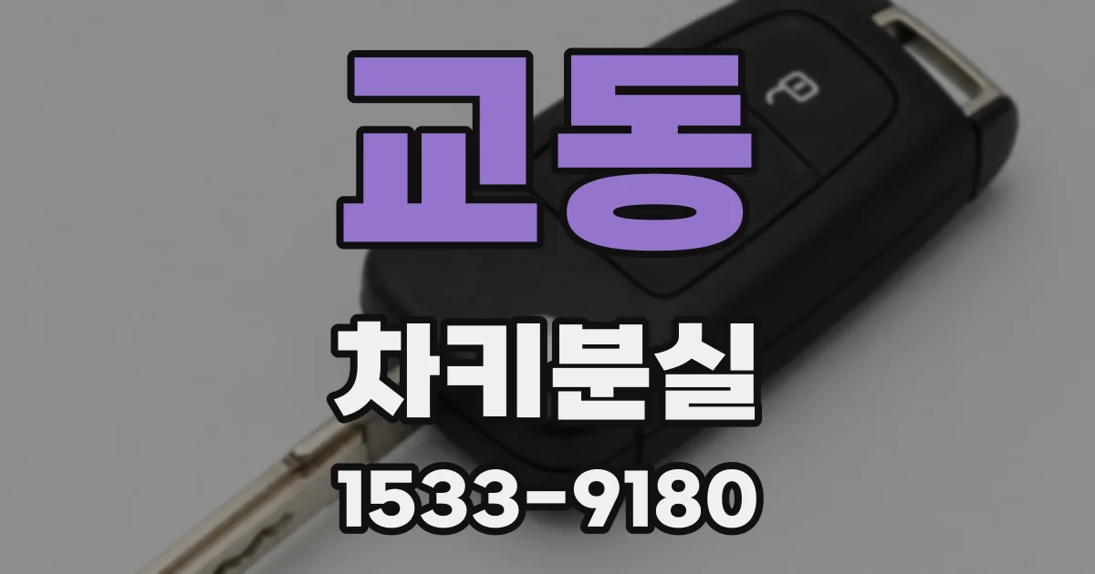 교동 차키분실