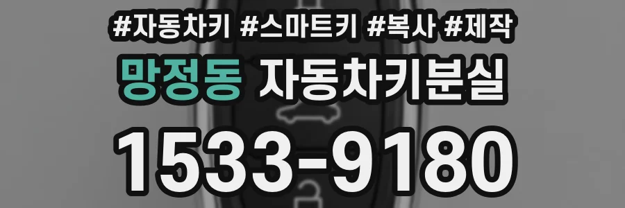 망정동 자동차키분실