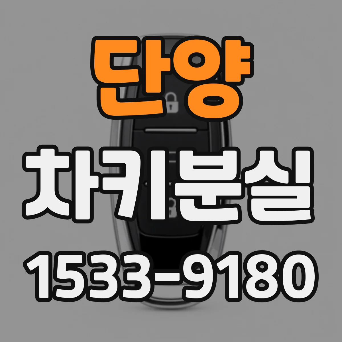단양 차키분실