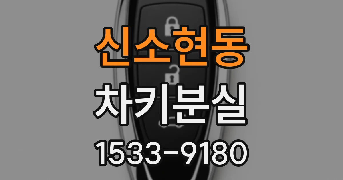 신소현동 차키분실