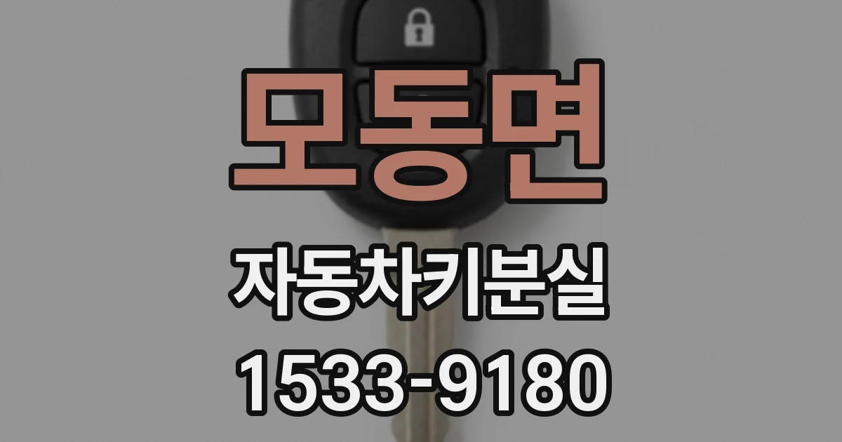 모동면 자동차키분실