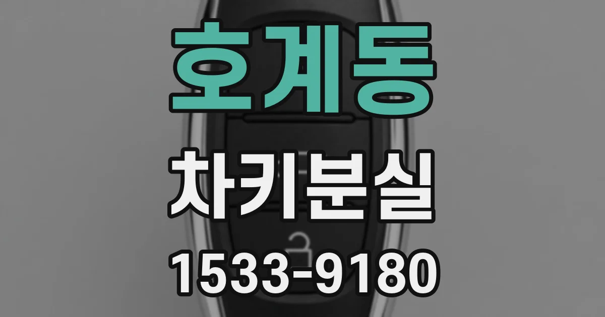 호계동 차키분실