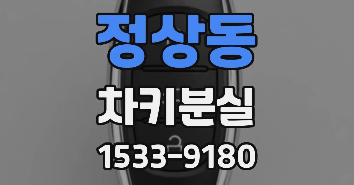 정상동 차키분실