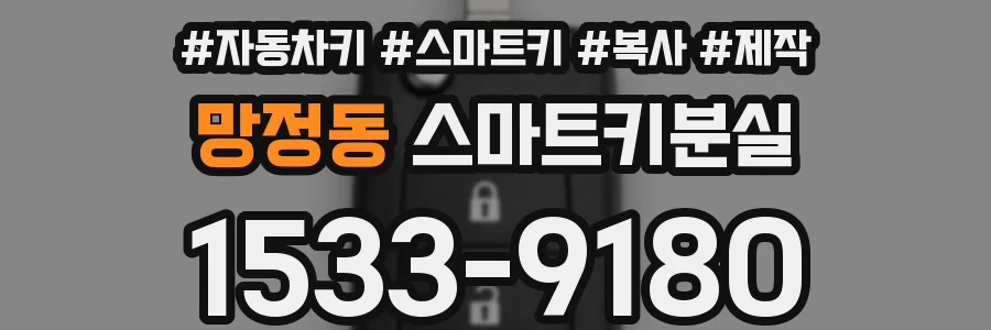 망정동 스마트키분실