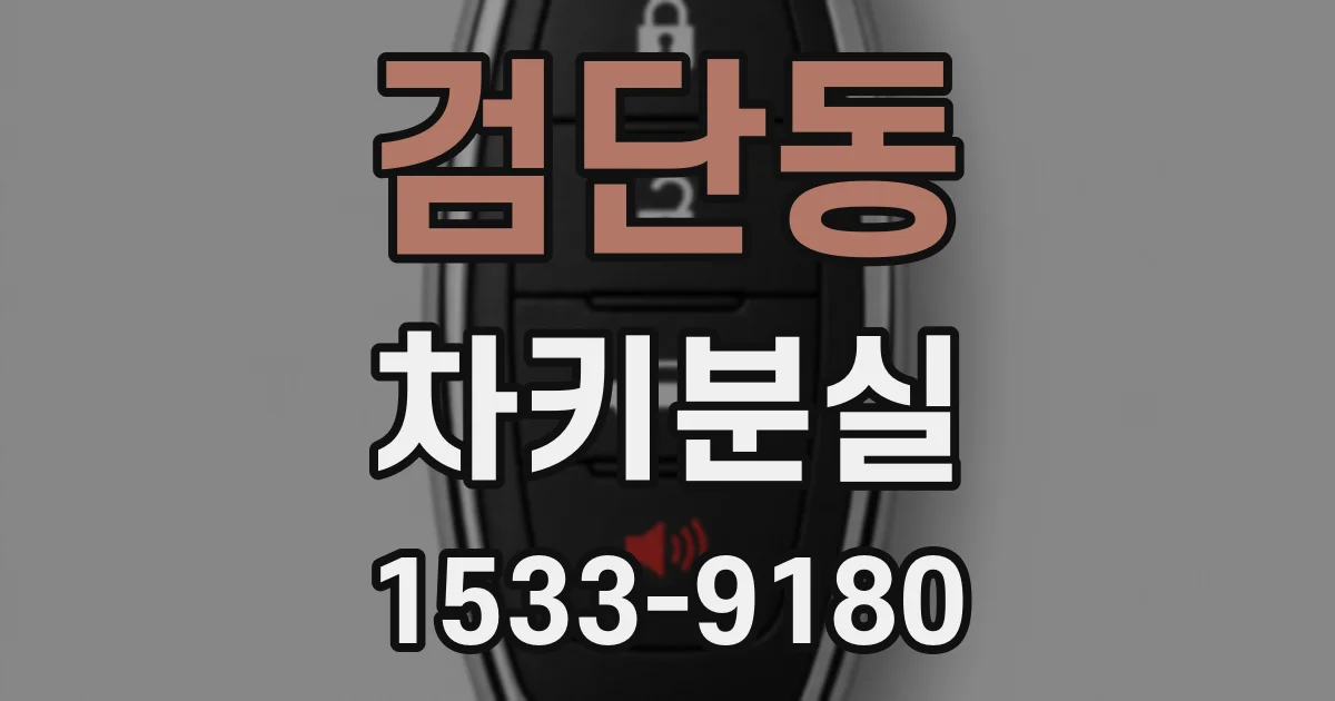 검단동 차키분실