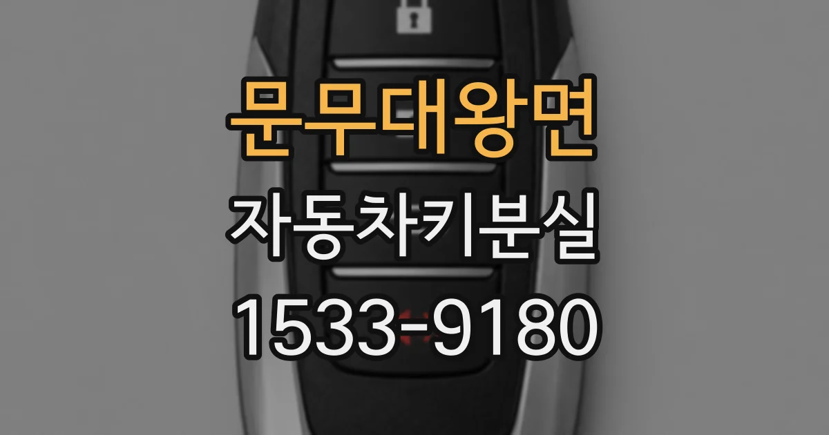 문무대왕면 자동차키분실