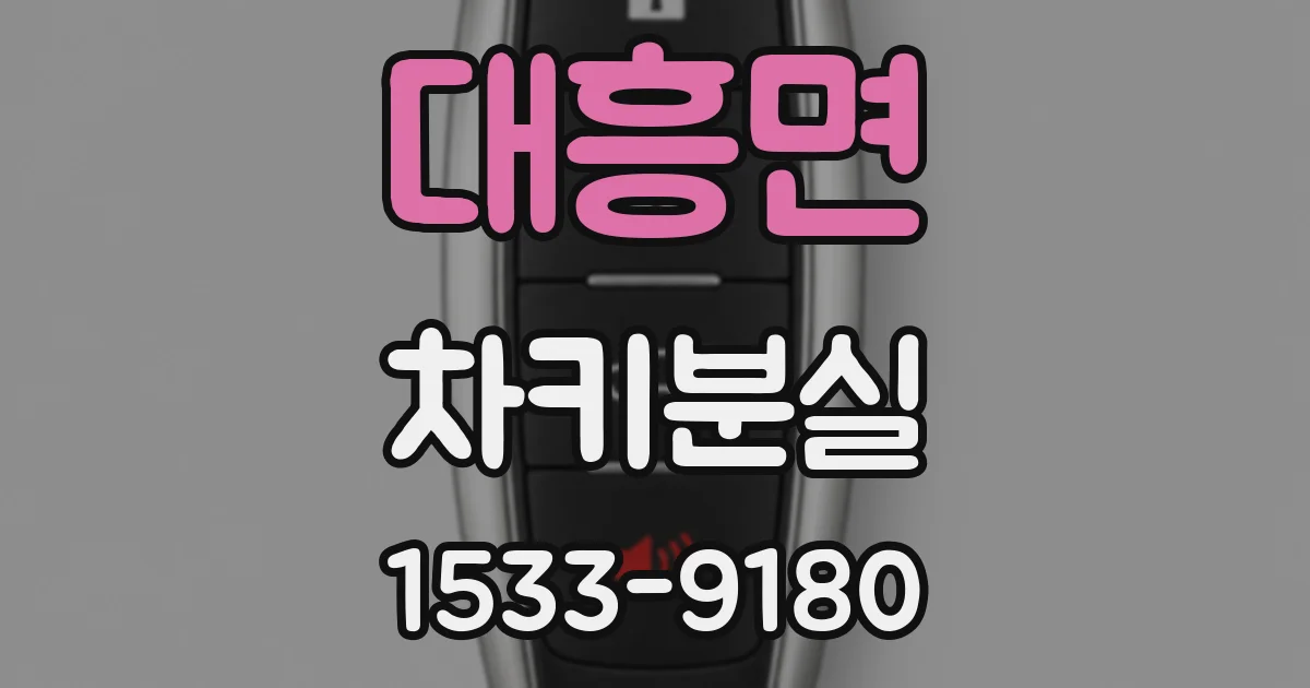 대흥면 차키분실